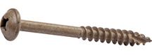 maxiloc head kreg screw